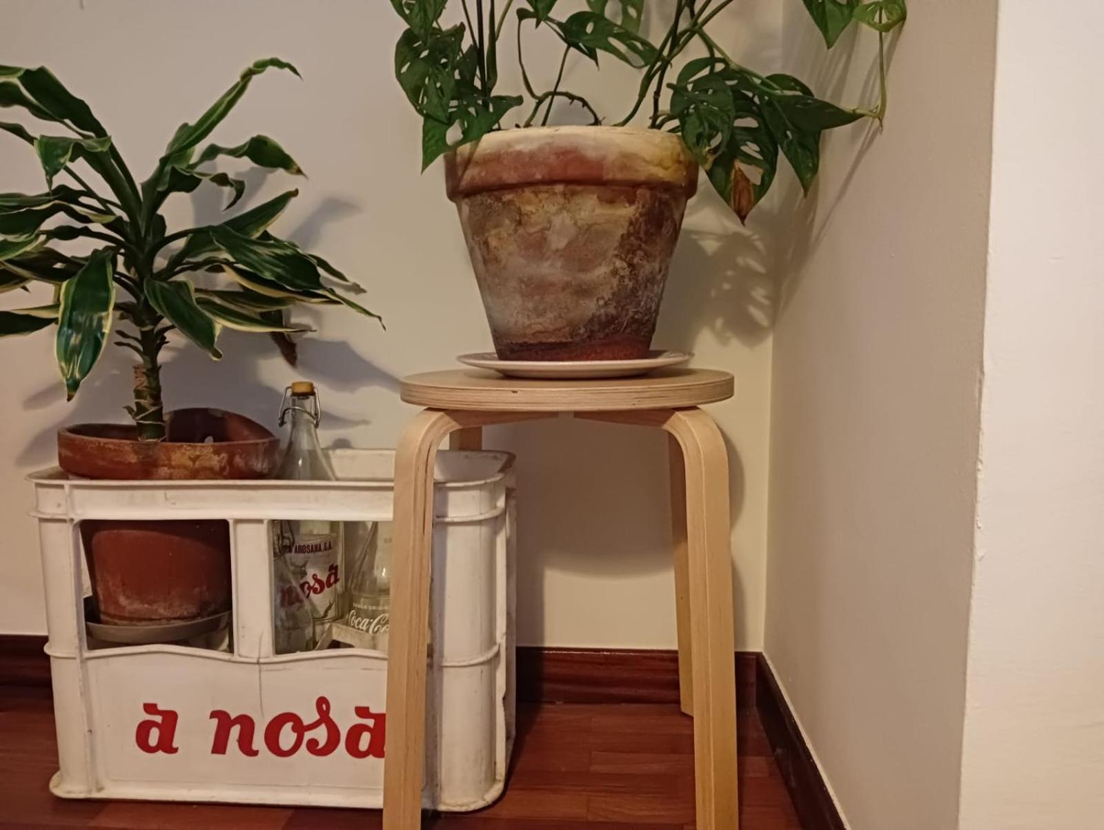 דירות וילאגרסיה דה ארוסה La Maceta מראה חיצוני תמונה